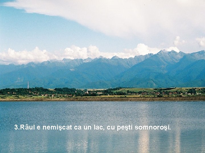 3. Râul e nemişcat ca un lac, cu peşti somnoroşi. 