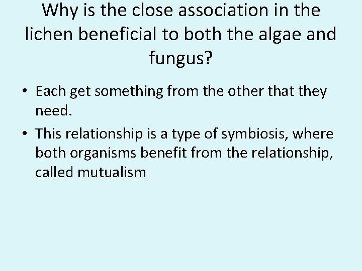 Why is the close association in the lichen beneficial to both the algae and