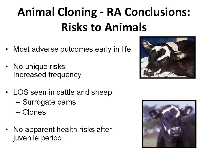 Animal Cloning - RA Conclusions: Risks to Animals • Most adverse outcomes early in