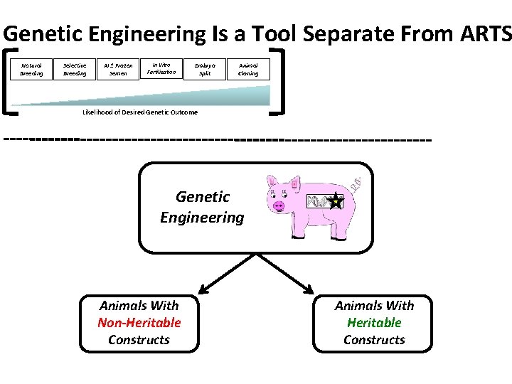 Genetic Engineering Is a Tool Separate From ARTS Natural Breeding Selective Breeding AI ±