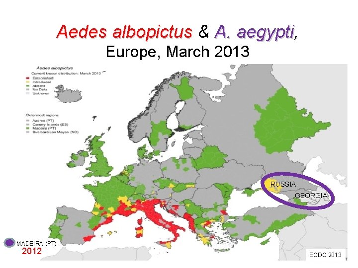Aedes albopictus & A. aegypti, aegypti Europe, March 2013 RUSSIA GEORGIA MADEIRA (PT) 2012