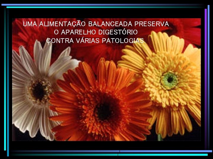 UMA ALIMENTAÇÃO BALANCEADA PRESERVA O APARELHO DIGESTÓRIO CONTRA VÁRIAS PATOLOGIAS. 