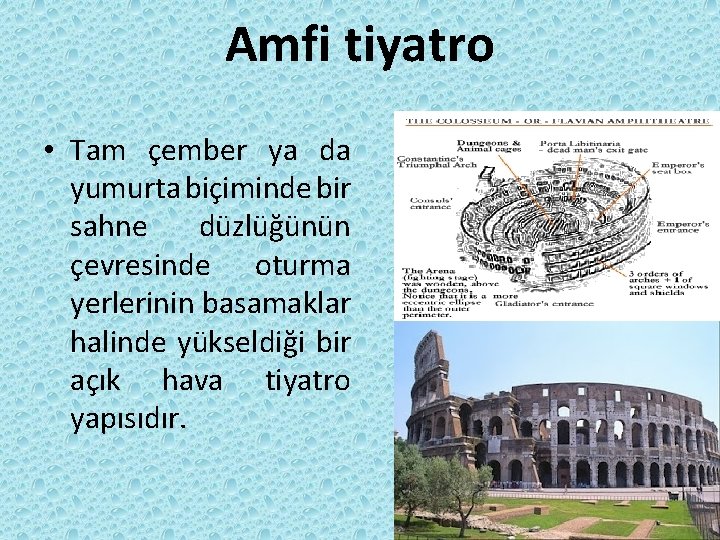 Amfi tiyatro • Tam çember ya da yumurta biçiminde bir sahne düzlüğünün çevresinde oturma Amfi tiyatro • Tam çember ya da yumurta biçiminde bir sahne düzlüğünün çevresinde oturma