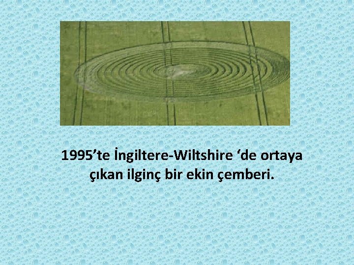 1995’te İngiltere-Wiltshire ‘de ortaya çıkan ilginç bir ekin çemberi. 1995’te İngiltere-Wiltshire ‘de ortaya çıkan ilginç bir ekin çemberi.