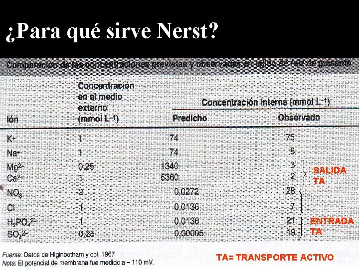 ¿Para qué sirve Nerst? SALIDA TA ENTRADA TA TA= TRANSPORTE ACTIVO 15 