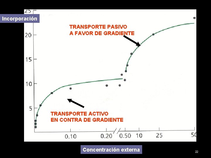 Incorporación TRANSPORTE PASIVO A FAVOR DE GRADIENTE TRANSPORTE ACTIVO EN CONTRA DE GRADIENTE Concentración