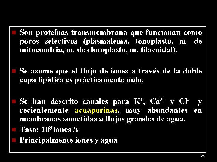 n Son proteínas transmembrana que funcionan como poros selectivos (plasmalema, tonoplasto, m. de mitocondria,