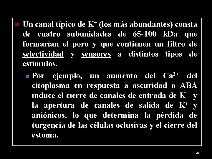 n Un canal típico de K+ (los más abundantes) consta de cuatro subunidades de