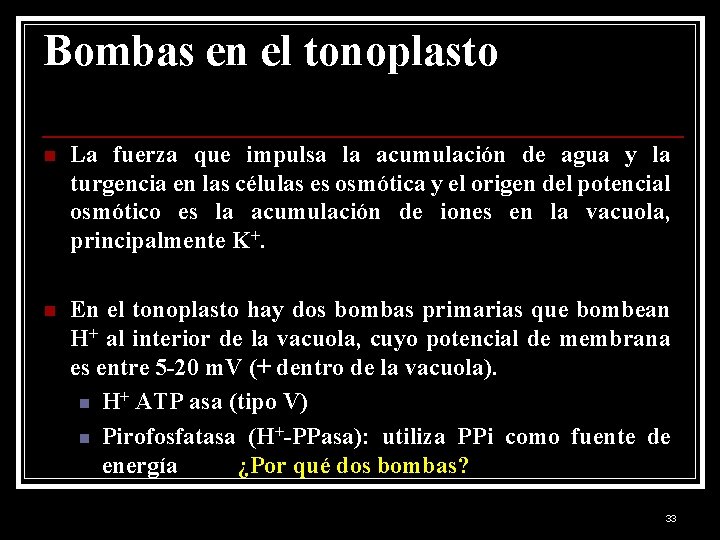 Bombas en el tonoplasto n La fuerza que impulsa la acumulación de agua y