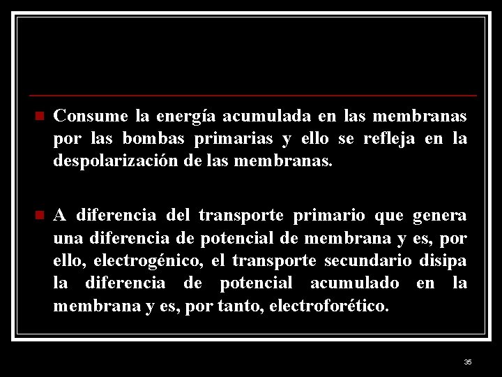 n Consume la energía acumulada en las membranas por las bombas primarias y ello