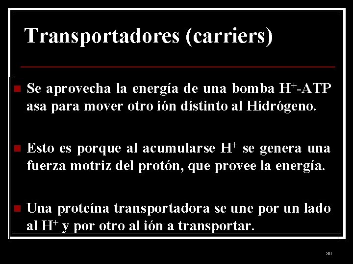 Transportadores (carriers) n Se aprovecha la energía de una bomba H+-ATP asa para mover