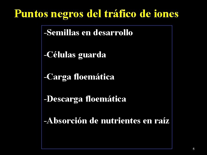 Puntos negros del tráfico de iones -Semillas en desarrollo -Células guarda -Carga floemática -Descarga