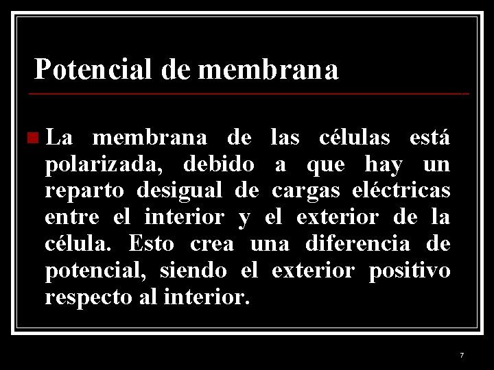 Potencial de membrana n La membrana de las células está polarizada, debido a que
