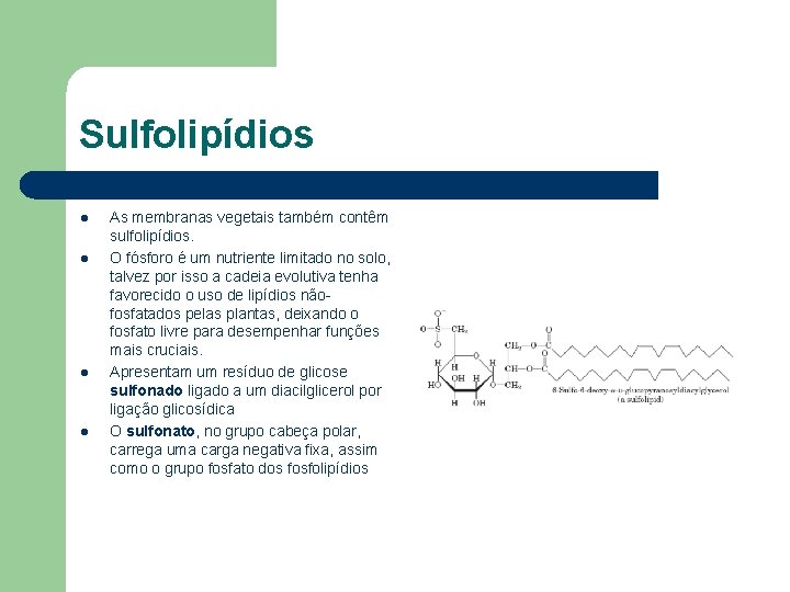 Sulfolipídios l l As membranas vegetais também contêm sulfolipídios. O fósforo é um nutriente