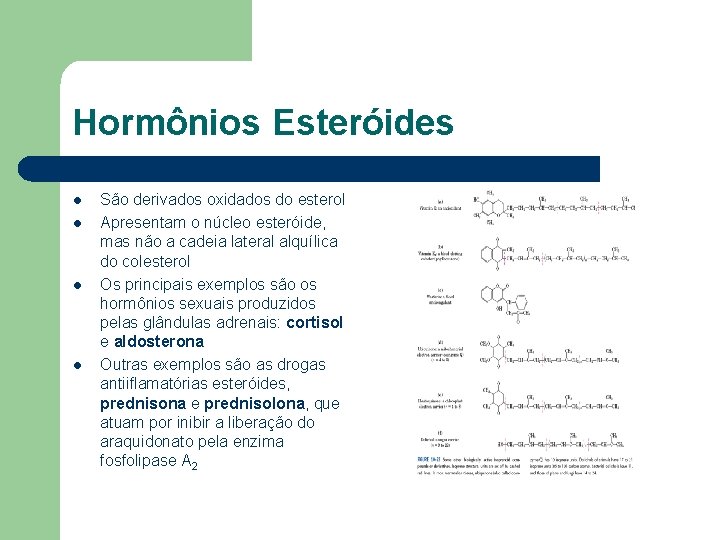 Hormônios Esteróides l l São derivados oxidados do esterol Apresentam o núcleo esteróide, mas