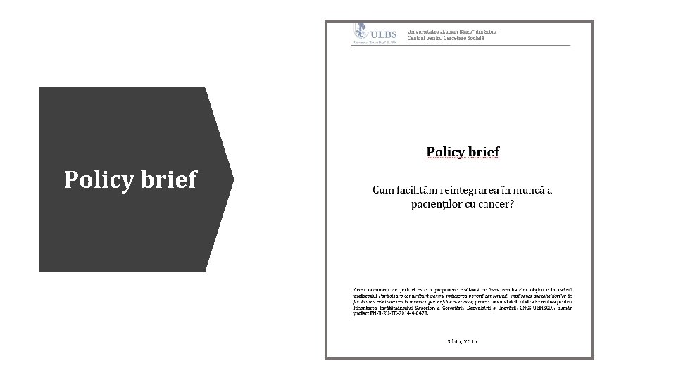 Policy brief 