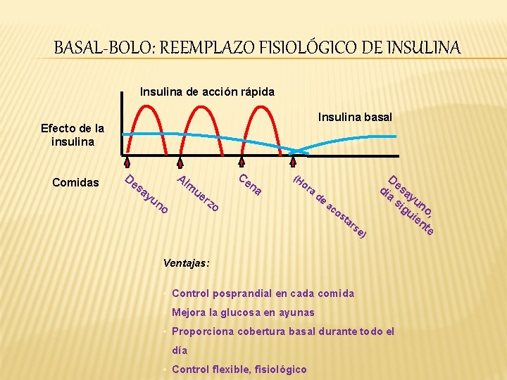 BASAL-BOLO: REEMPLAZO FISIOLÓGICO DE INSULINA Insulina de acción rápida Insulina basal Efecto de la