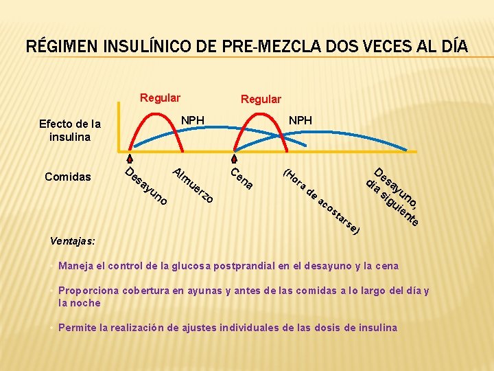 RÉGIMEN INSULÍNICO DE PRE-MEZCLA DOS VECES AL DÍA Regular NPH Efecto de la insulina