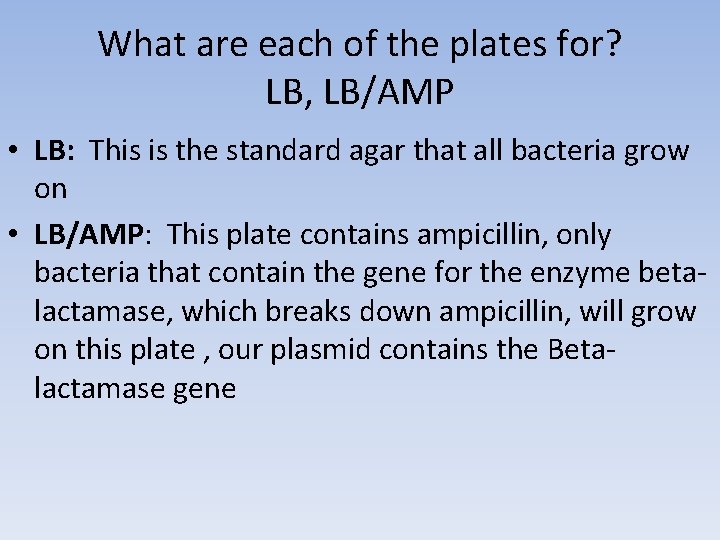 What are each of the plates for? LB, LB/AMP • LB: This is the