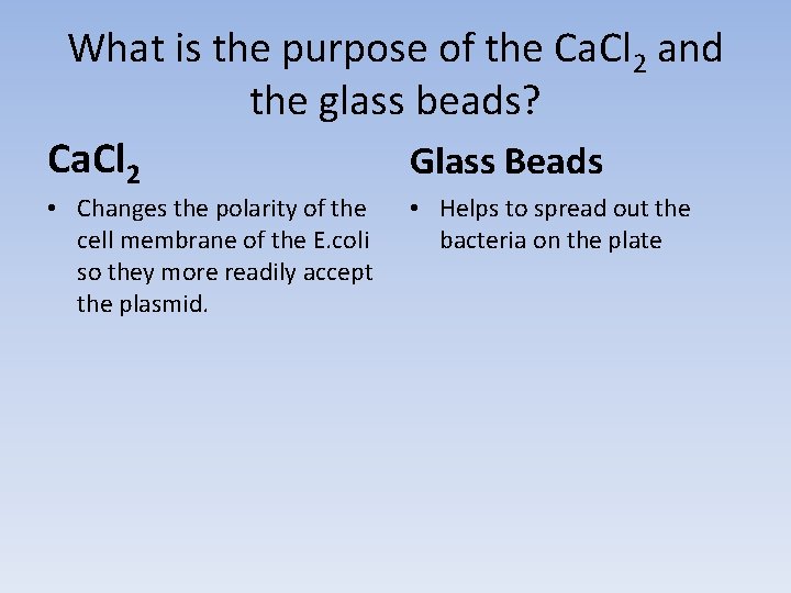 What is the purpose of the Ca. Cl 2 and the glass beads? Ca.