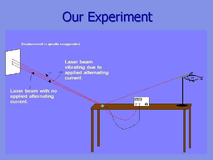 Our Experiment 