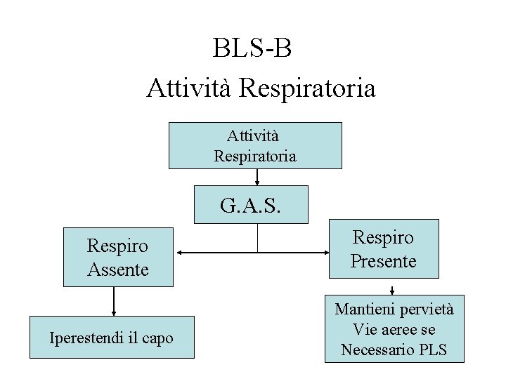 BLS-B Attività Respiratoria G. A. S. Respiro Assente Iperestendi il capo Respiro Presente Mantieni