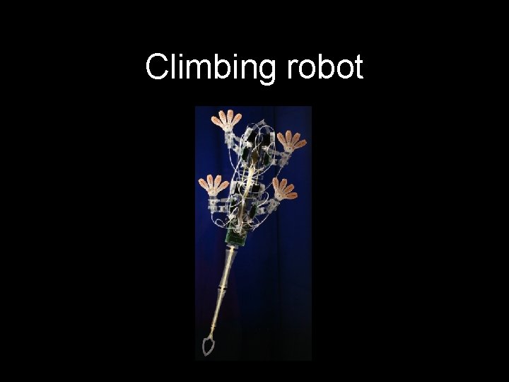 Climbing robot 
