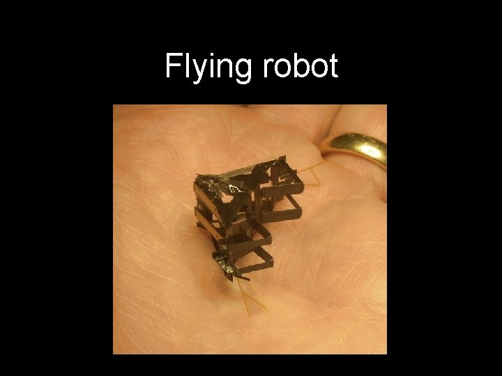 Flying robot 