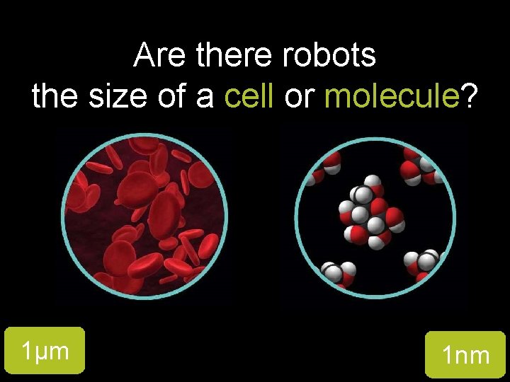 Are there robots the size of a cell or molecule? 1µm 1 nm 