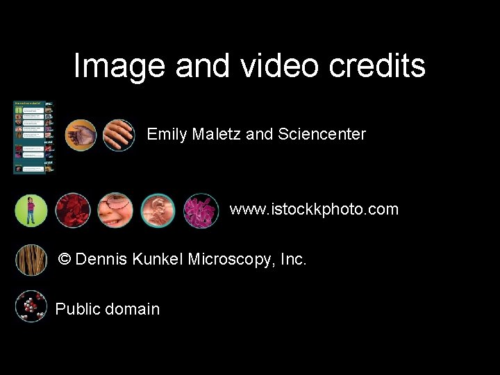 Image and video credits Emily Maletz and Sciencenter www. istockkphoto. com © Dennis Kunkel