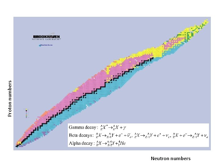 Proton numbers Neutron numbers 