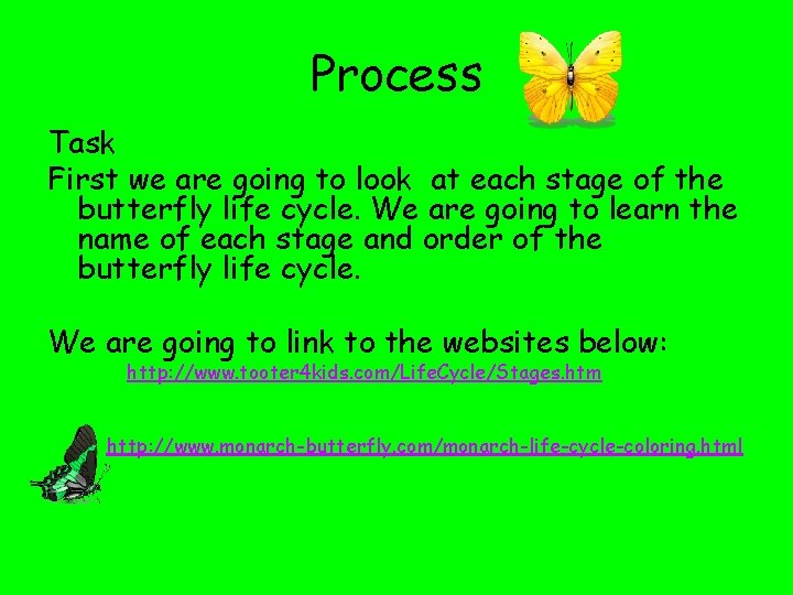 Process Task First we are going to look at each stage of the butterfly
