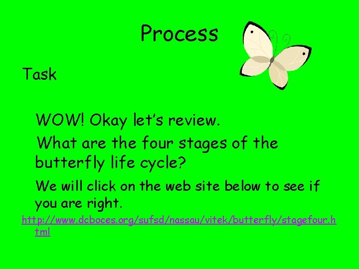 Process Task WOW! Okay let’s review. What are the four stages of the butterfly