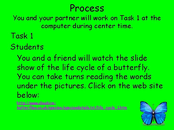 Process You and your partner will work on Task 1 at the computer during