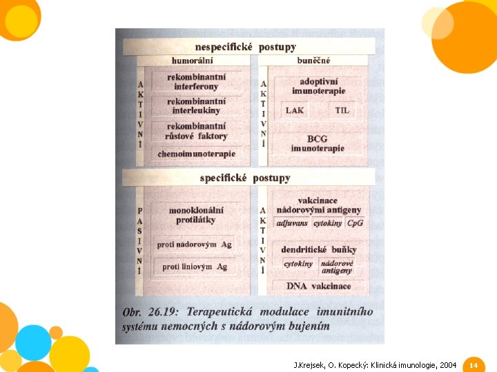 J. Krejsek, O. Kopecký: Klinická imunologie, 2004 14 