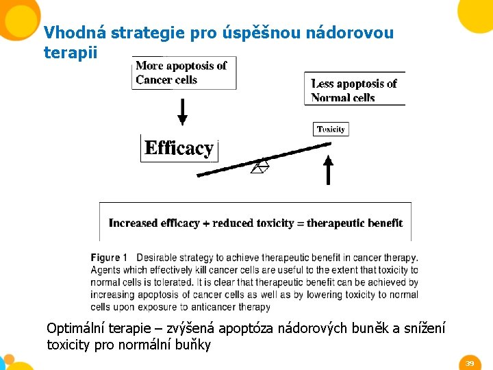 Vhodná strategie pro úspěšnou nádorovou terapii Optimální terapie – zvýšená apoptóza nádorových buněk a