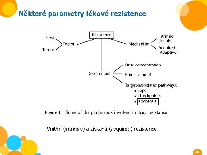 Některé parametry lékové rezistence Vnitřní (intrinsic) a získaná (acquired) rezistence 48 