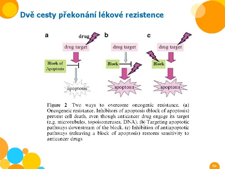 Dvě cesty překonání lékové rezistence 53 