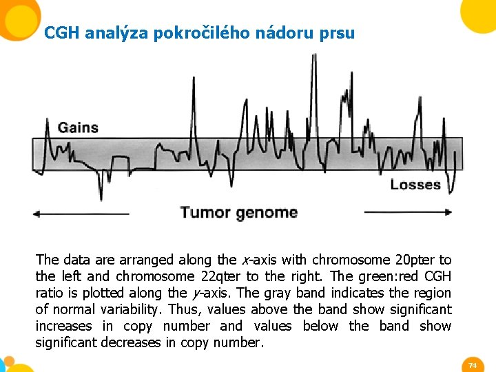 CGH analýza pokročilého nádoru prsu The data are arranged along the x-axis with chromosome