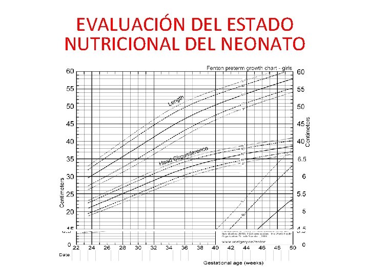 EVALUACIÓN DEL ESTADO NUTRICIONAL DEL NEONATO 