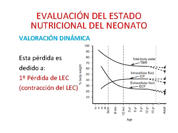EVALUACIÓN DEL ESTADO NUTRICIONAL DEL NEONATO VALORACIÓN DINÁMICA Esta pérdida es dedido a: 1º