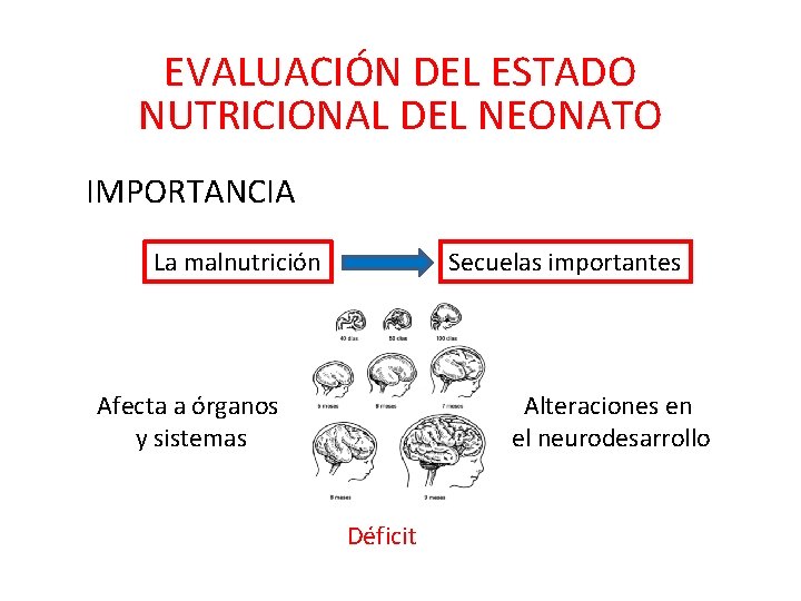 EVALUACIÓN DEL ESTADO NUTRICIONAL DEL NEONATO IMPORTANCIA Secuelas importantes La malnutrición Alteraciones en el