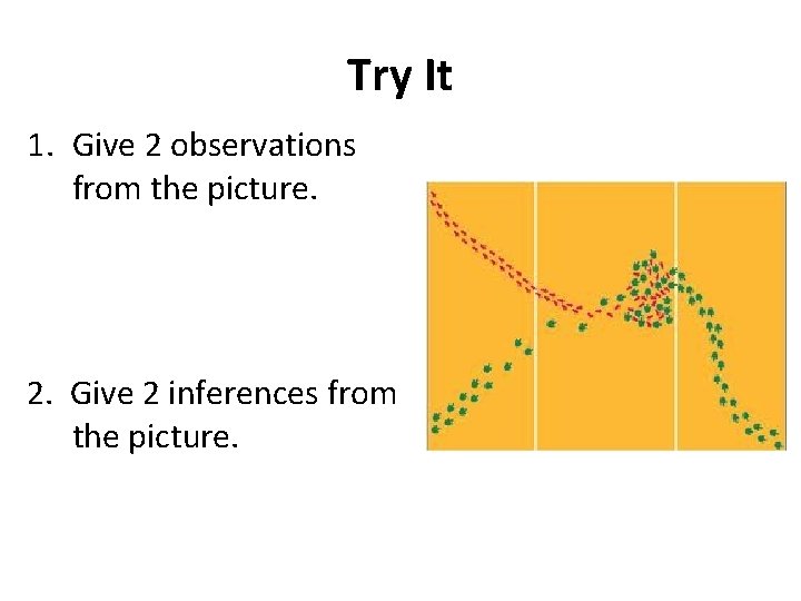 Try It 1. Give 2 observations from the picture. 2. Give 2 inferences from