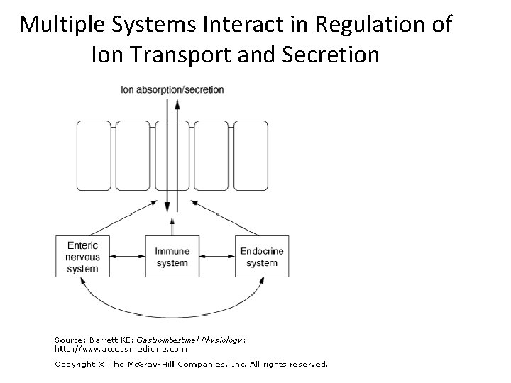 Multiple Systems Interact in Regulation of Ion Transport and Secretion 