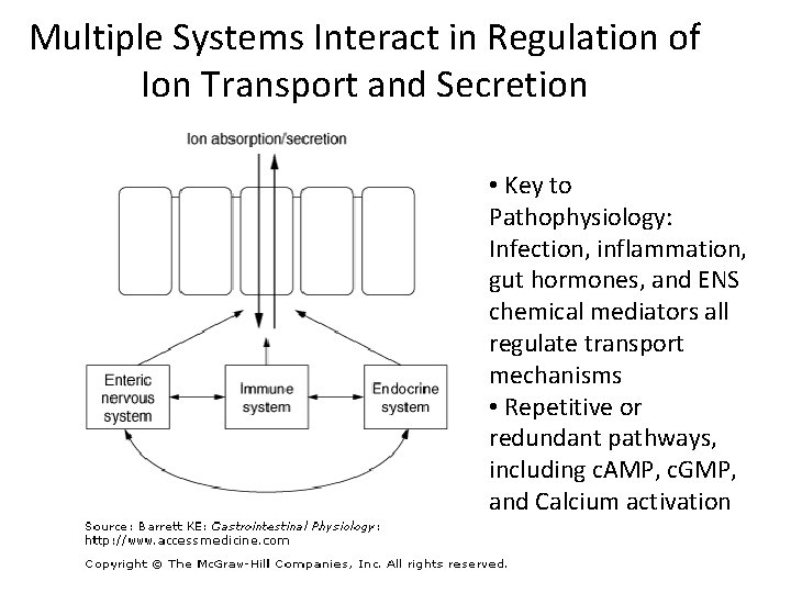 Multiple Systems Interact in Regulation of Ion Transport and Secretion • Key to Pathophysiology: