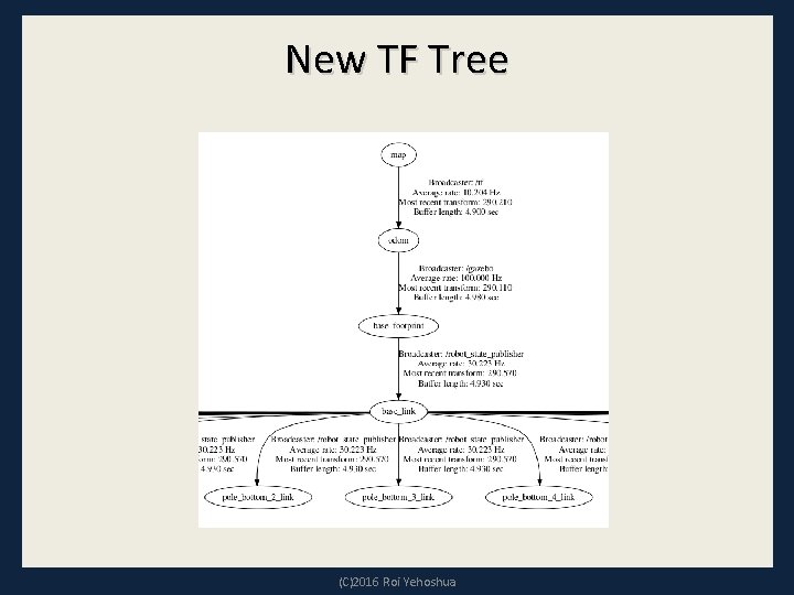 New TF Tree (C)2016 Roi Yehoshua 