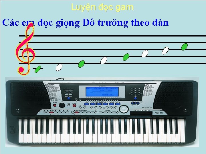 Luyện đọc gam Các em đọc giọng Đô trưởng theo đàn Luyện đọc gam Các em đọc giọng Đô trưởng theo đàn