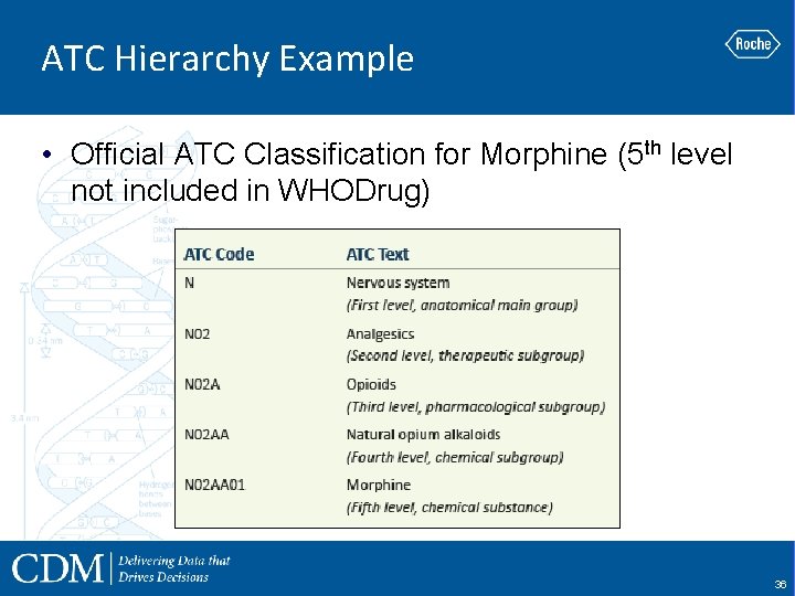 ATC Hierarchy Example • Official ATC Classification for Morphine (5 th level not included