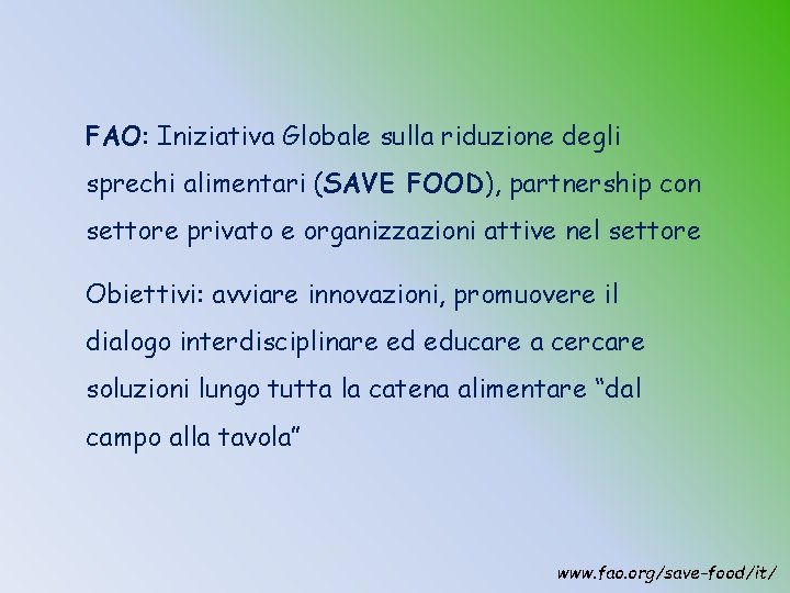 FAO: Iniziativa Globale sulla riduzione degli sprechi alimentari (SAVE FOOD), partnership con settore privato