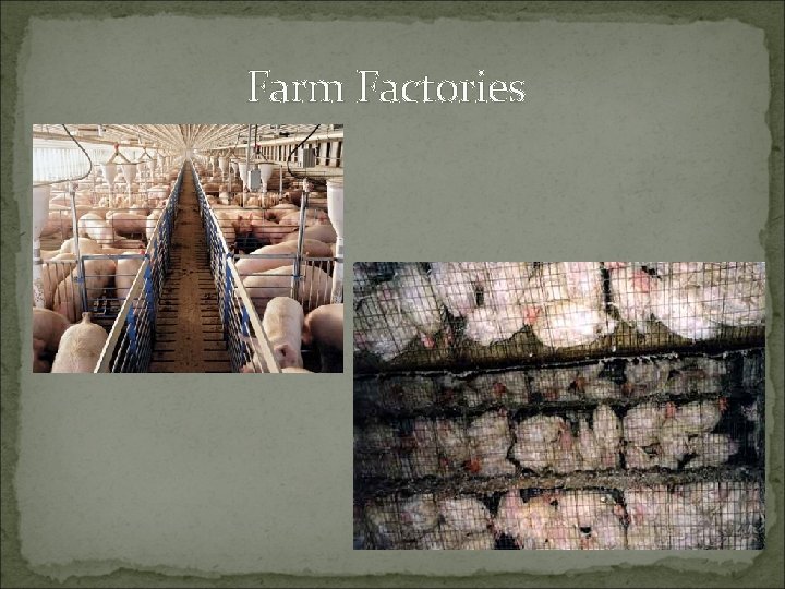 Farm Factories 